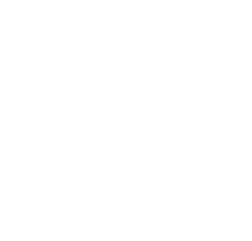CV Tiger